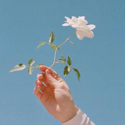 三界轮回ol手游下载